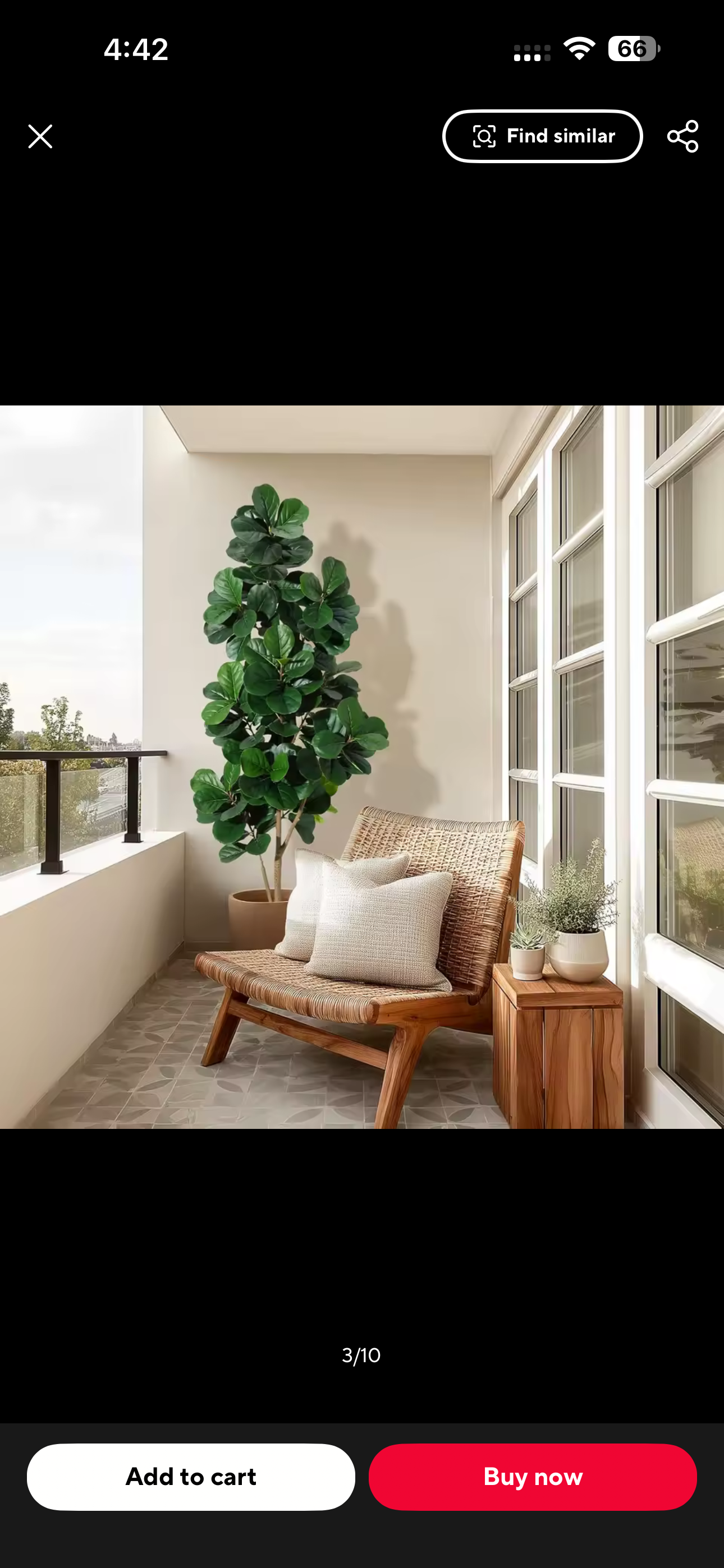Luxury Fiddle Leaf Fig Tree – Elegant Home Decor 🌿