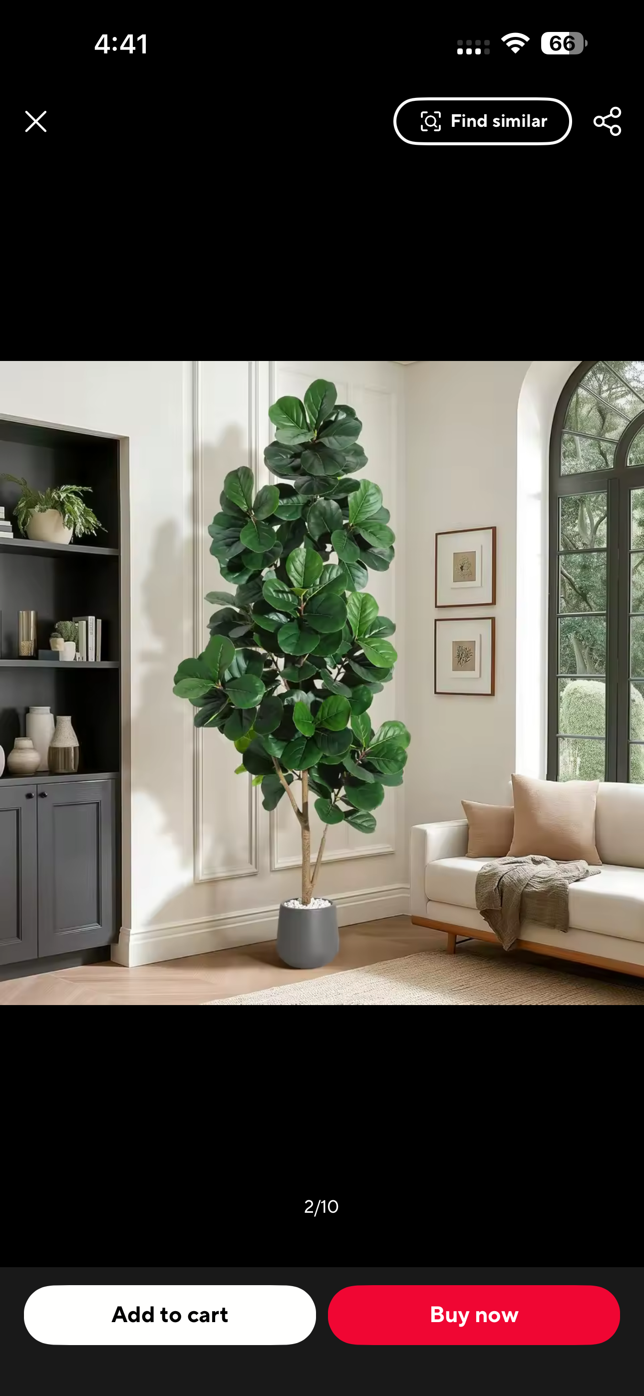 Luxury Fiddle Leaf Fig Tree – Elegant Home Decor 🌿
