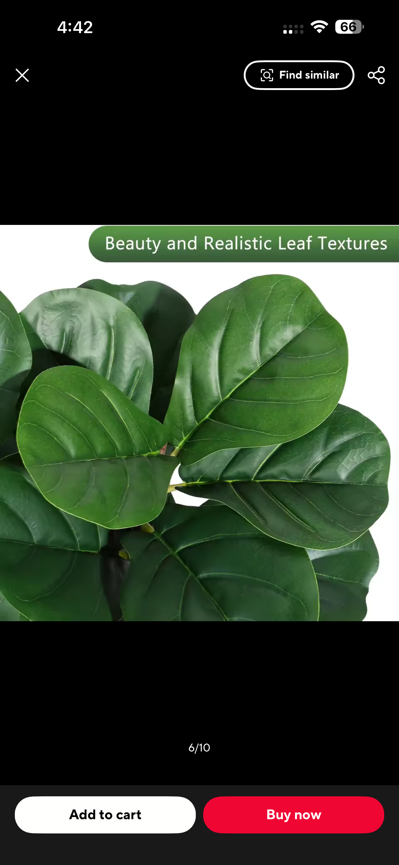 Luxury Fiddle Leaf Fig Tree – Elegant Home Decor 🌿