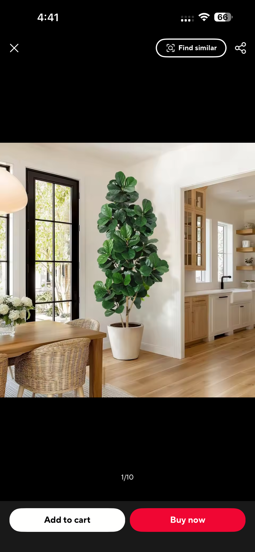 Luxury Fiddle Leaf Fig Tree – Elegant Home Decor 🌿