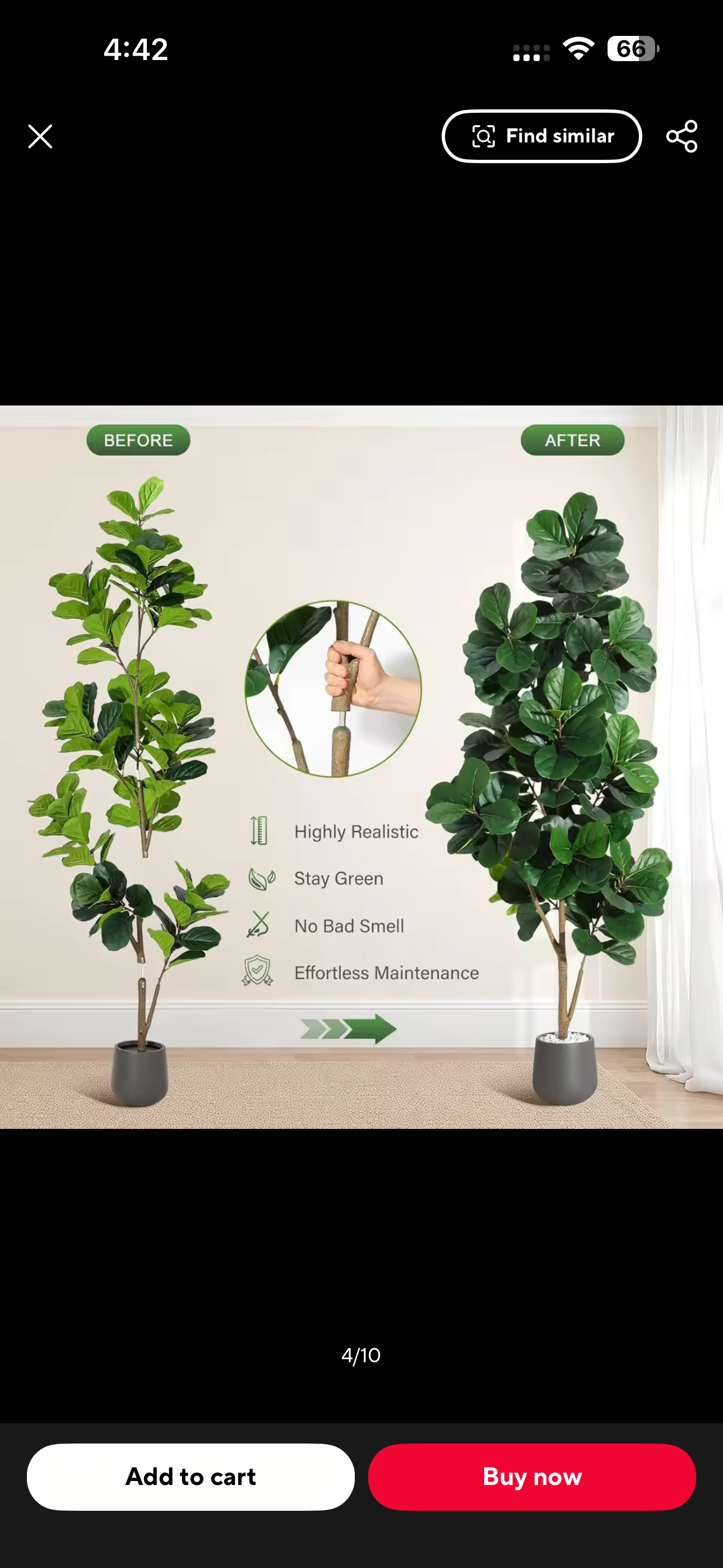 Luxury Fiddle Leaf Fig Tree – Elegant Home Decor 🌿